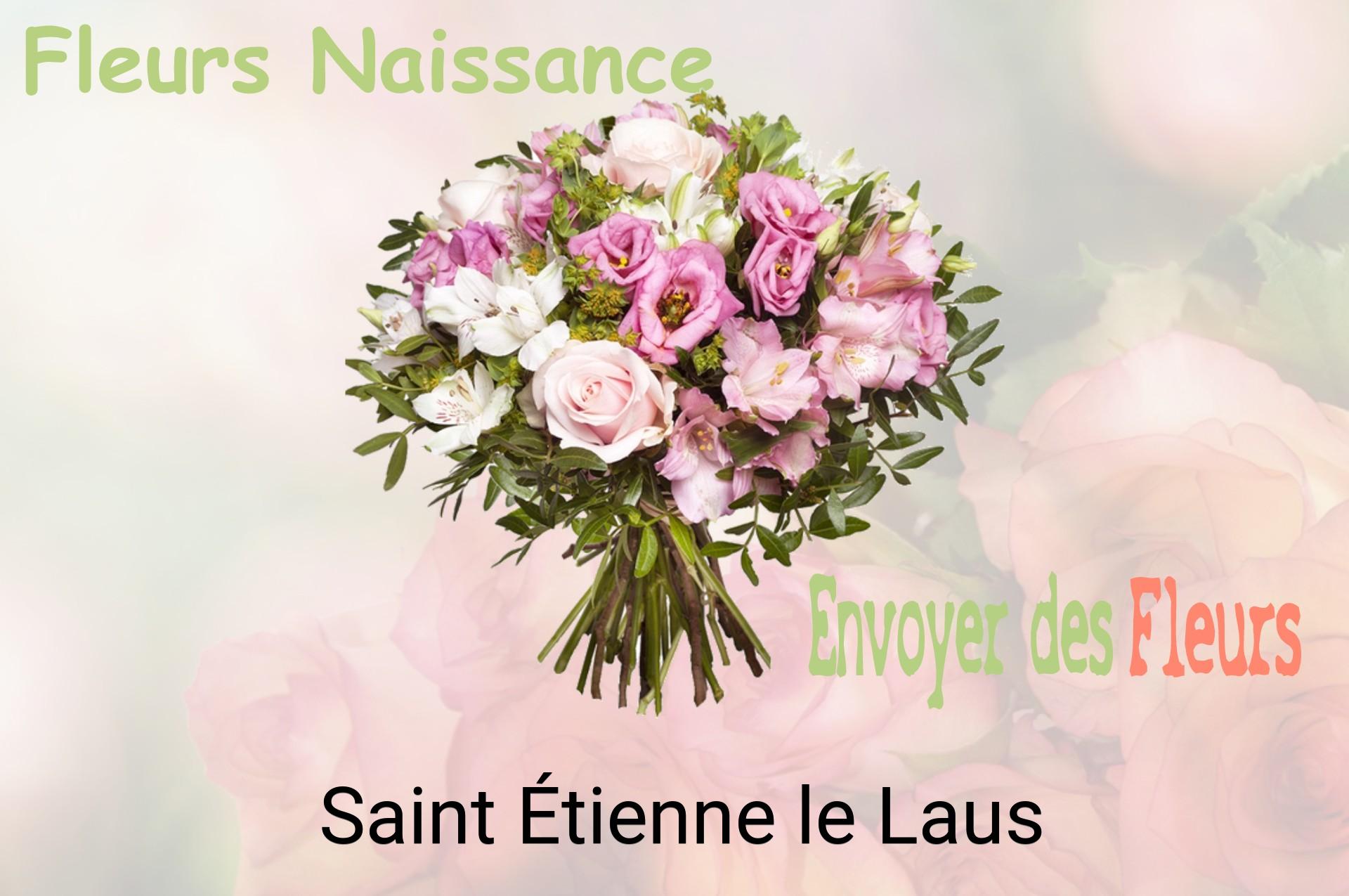 Bouquet de fleurs de naissance livré à Saint-Étienne-le-Laus